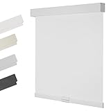 HOTSOON Light Filtering Roller Shades for Windows Cordless Solar Roller Blinds 5% Openness with Cassette Valance Sheer and Glare Reduce Window Shades for Home Office Living Room, White, Custom Size
