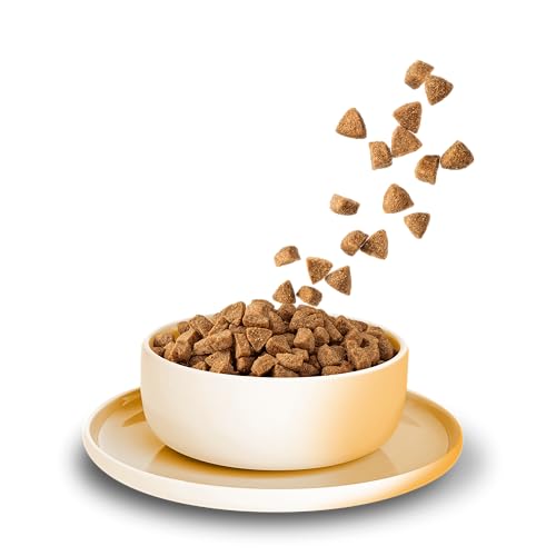 KITTY Cat Huhn Adult, 3 kg, Trockenfutter mit hohem Fleischanteil für ausgewachsene Katzen, getreidefreies Katzenfutter mit Taurin und Lachsöl, Made in Germany