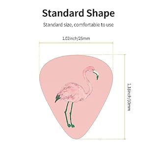 Lot de 12 médiators en forme de flamant rose pour guitare électrique et basse dans une boîte - Les Beatles, Paul McCartney, John Lennon, RIngo Starr, George Harrison Lot de 12 médiators en forme de flamant rose pour guitare électrique et basse dans une boîte – Image 4