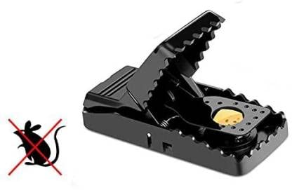 PARTHVI Mouse Trap for mice Control Rat/Mouse/Rodent Trap Mouse Trap (Pack of 1) Live Trap (B09TL2FSQ4) Amazon Price History, Amazon Price Tracker