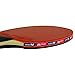Butterfly Timo Boll Shakehand Ping Pong Paddle - Good Speed And Spin With Superb Control - Japan Series - Recommended For Beginning Level Players - International Table Tennis Federation Approved