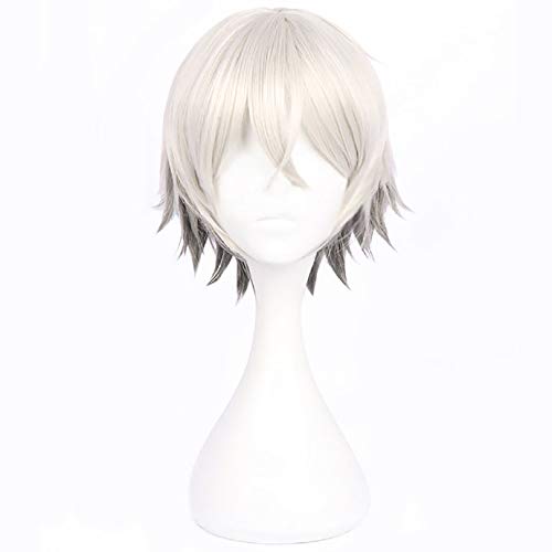 コスプレウィッグ に適合する 蘭陵王 らんりょうおう 2段階目 3段階目 最終再臨 ウィッグ コスプレ用ウィッグ かつら コスプレ 耐熱 ネット付き コスチューム 仮装 W30147の商品画像（Amazon）