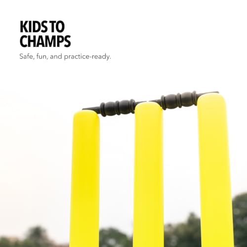 Boldfit Store Boldfit Cricket Stumps with Stand - Image 5