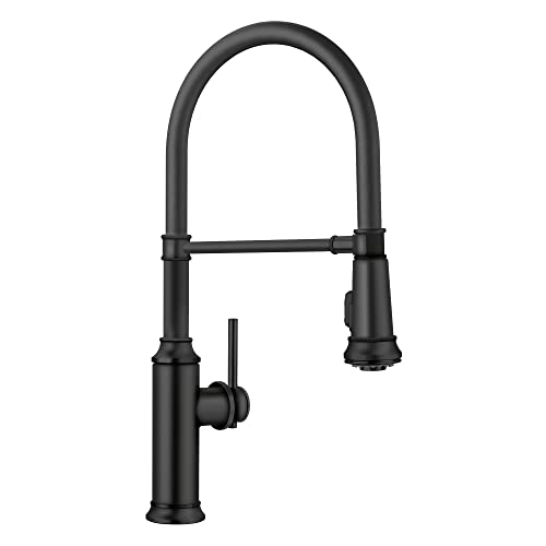Image of Blanco Empressa Semi-Pro Kitchen Faucet 1.5 GPM, Matte Black