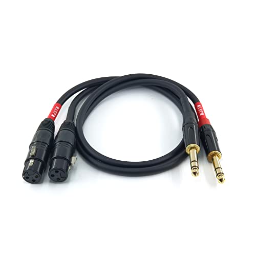 Câble XLR vers TRS 6,35 mm WJSTN pour éliminer les bruits de vos enceintes