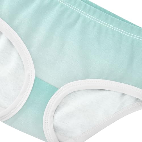 Joisal Green Blue White Gradient Girls Underwear Toddlers 2t Cotton Panties Little Girl Flower Kids Undies Briefs4