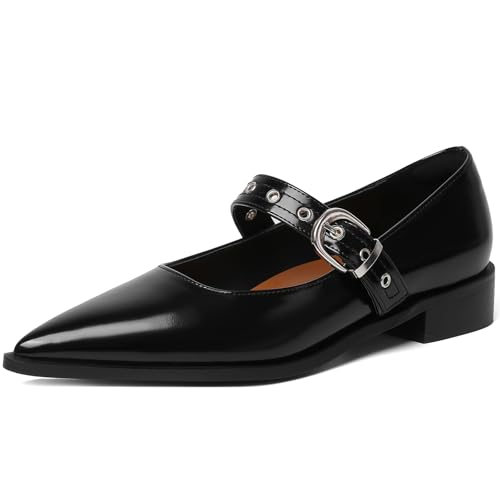 Mary Jane Shoes Women Chunky Low Heels Buckle Strap Pumps Womens Closed Pointed Toe Ballet Flats Causal Daily Dress Shoes