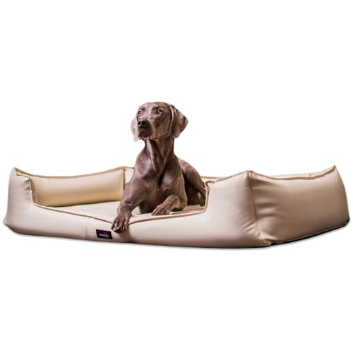 tierlando® Orthopädisches Hundebett Goofy Easy Clean aus Kunstleder mit Matratzenschoner, für mittelgroße und große Hunde Größe: 130x100cm Farbe: 05 Creme