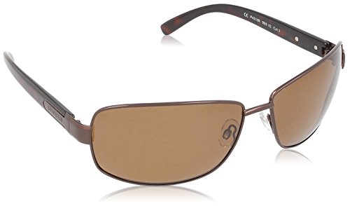 Polaroid men's P4218 Aviator Sunglasses