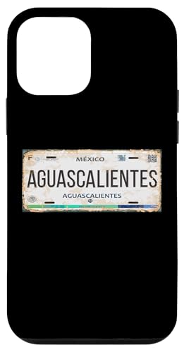 Aguascalientes Mexico License Plate Mexican Travel Vacation �X�}�z�P�[�X iPhone 12 mini �p