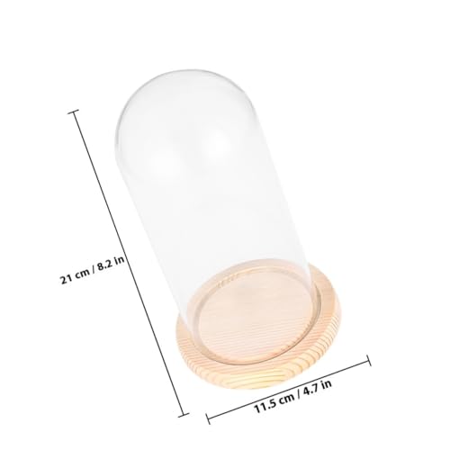 Cúpula de cristal protectora contra el polvo para flores secas y delicadas 3