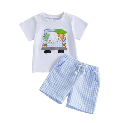 Image of Toddler Baby Boy Easter Rabbit Outfit Short Sleeve Bunny Carrot Smocked T-shirt Elastic Waist Shorts Summer Clothes