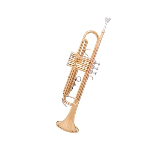 Trumpets for Beginner Entry-level B Flat School Orchestra Adult Beginner Exam(A)