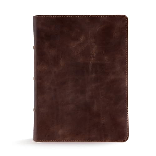 CSB Study Bible, Brown Genuine Leather, Red Letter, Study Notes and Commentary, Illustrations, Articles, Word Studies, Outlines, Timelines, Easy-to-Read Bible Serif Type