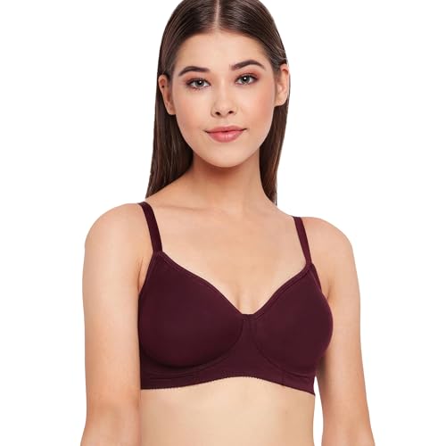 Image of Enamor Innovations Fabcool Encircled Side Support Shaper, Non Padded, Wirefree, High Coverage, Women's Cotton Everyday Bra - A042 (Available in Plus Sizes)