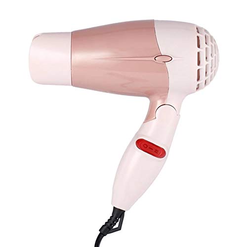 Haartrockner Haarfön 750W Professionell Mit Ionenpflege Technologie Salon Fön Schnelltrocknen Für Familien Salons Friseure