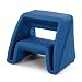Simplay3 Handy Home 2-Step Plastic Stool 16 in. - Blue