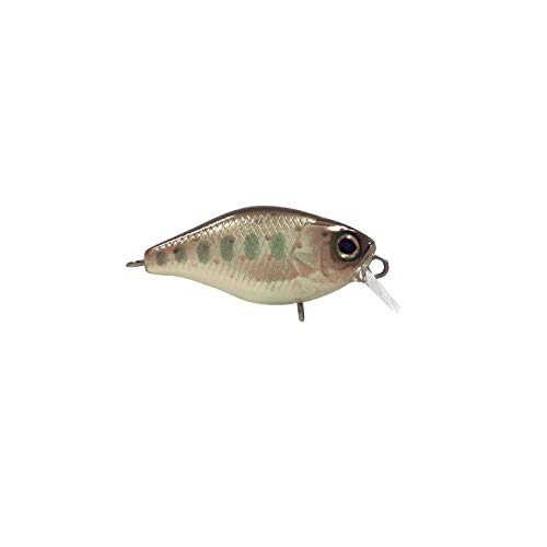 Leurre Illex Deep Diving Chubby 38 - Pêche de la truite - Leurre de la