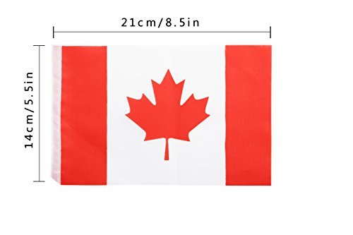 TSMD Canada Flag, 100 Feet Canadian Flag National Country Flags Banner,Party Decorations Supplies for Grand Opening,Olympics,Bar,School Sports Events,International Festival Events Celebration