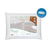 Travesseiro Pena De Ganso 233 Fios 50X70cm Plumasul