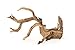 Galápagos (05511) Staghorn Wood™ - Natural Manzanita Root for Terrariums, Aquariums, Reptiles, Birds and Aquascaping, Driftwood Décor, 19-24 in
