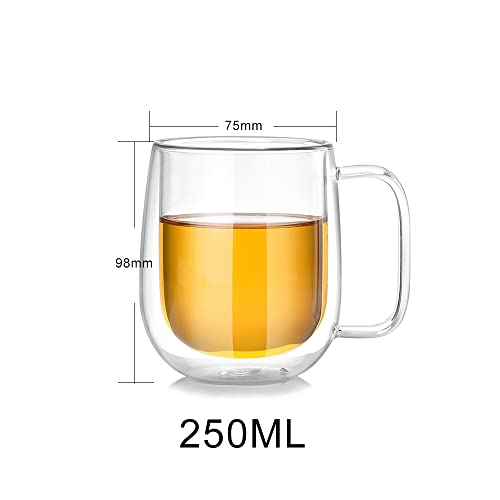 Fdrirect Canecas de Café de Vidro, parede dupla