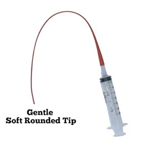 Puppy Feeding Tube Kitlarge Kitten Feeding Tube Kit Includes 8 Fr Kendall 8 French Feeding Tube and 35 Ml Syringe for Dog Whelping Suppliesnewborn Kitten Supplies 8 French 8 Fr  Cucciolini Doodles Puppy feeding tube kitlarge kitten feeding tube kit includes 8 fr kendall 8 french feeding tube and 35 ml syringe for dog whelping suppliesnewborn kitten supplies 8 french 8 fr   cucciolini doodles