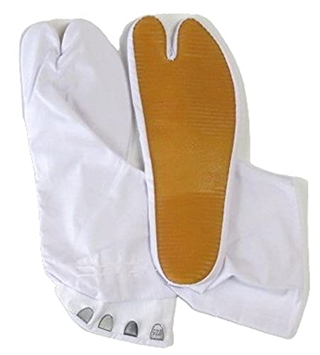 [݂A}]X] Ղ葫ܔ Ւn Ղ葫 Sꑫ  (23.0)