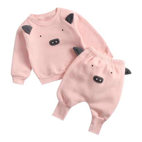 Toddler Kid Baby Boy Clothes Long Sleeve Dinosaur Pullover Sweatshirt Top Pants Sweatsuit Fall Winter Outfits