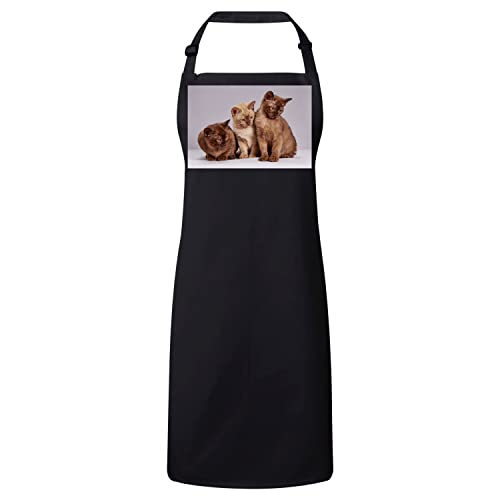 Tablier cuisine premium chat siamois contre les taches de cuisson