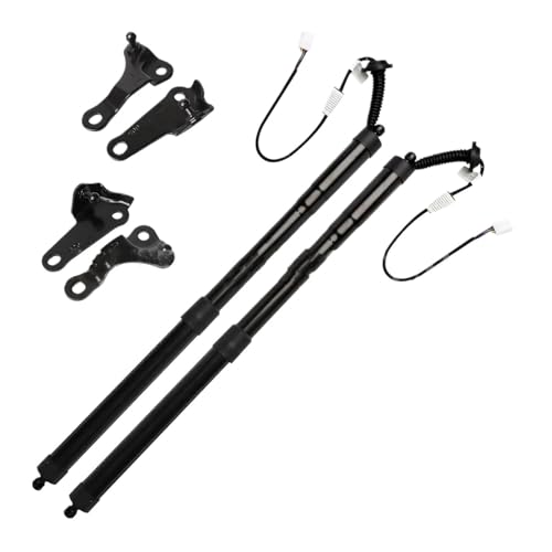 車パワーリフトゲートサポート に適合する レクサス NX200t NX300h 2.0L .5L L4 2015-2020 68920-79016 68910-79016 6892079016 6891079016 2ピース 電動テールゲートストラット リ