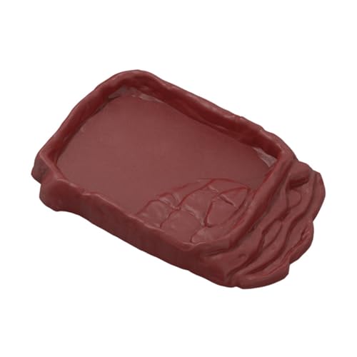 MYCENSE Reptile Ramp Food Bowl Terrarium Anti Slip Amphibian Feeding Dish for Hamster Gecko Leopard Gecko Terrarium Decor Decoration, L