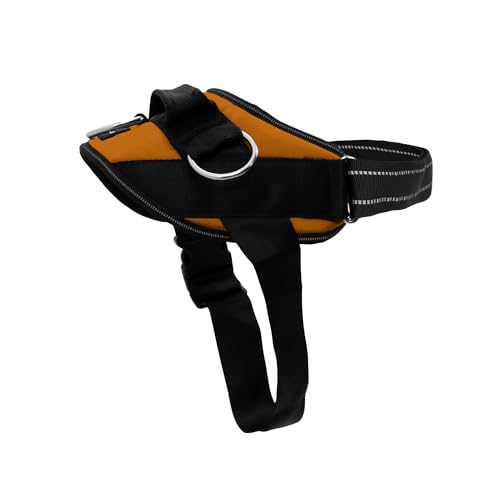 Rated 4.4 out of 5 stars from 19,172 reviews