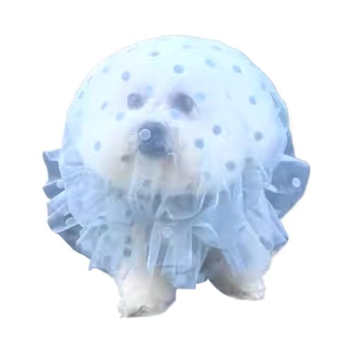 Pet Anti-Scavenging Muzzle, Breathable Mesh No-Eat Headgear for Dogs and Cats, Adjustable & Quick-Release, Prevents Eating Foreign Objects Outdoors (Blue, S/M/L