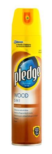 Pledge Beautify It Enhancing - Esmalte clásico, 250 ml