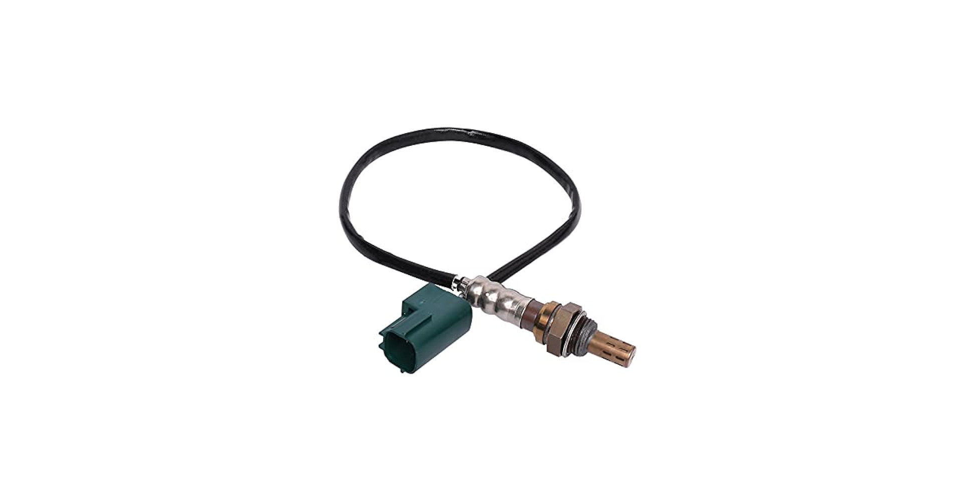 メイ. S58WS0285_P7573_T1003_F.jpg