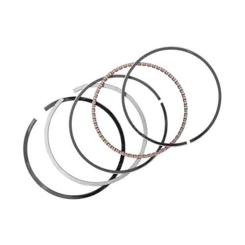 Segments de piston 53.25mm réparant la perte de puissance de la CA250