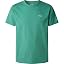 Green (Sage Green)