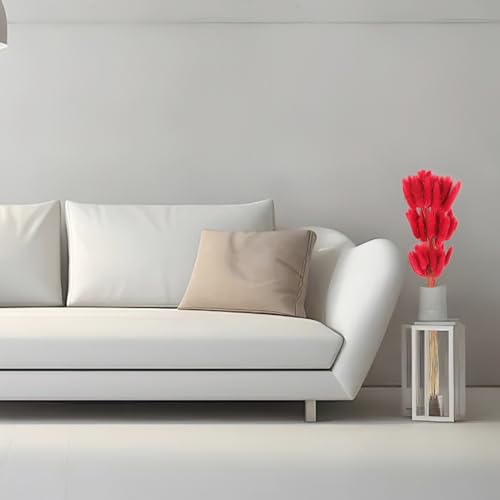 Decoración floral con hierba cola de conejo seca roja 60 tallos miniatura 4