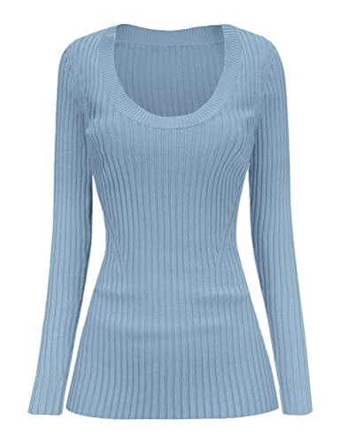 トップス sorin SWAN LAKE U-NECK TOPI SFB swan lake headpieces : r/bunheadsnark