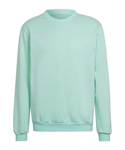 adidas Herren Entrada 22 Sweatshirt, Clear Mint, L