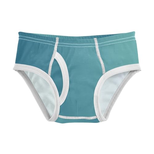 ODAWA Boys Cotton Briefs Underwear Blue Gradient Boys Underwear Cotton 5t Boxer Briefs Boys
