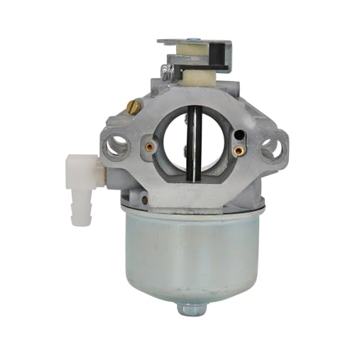Carburateur 695503 pour tondre la pelouse sans caler moteur BR St