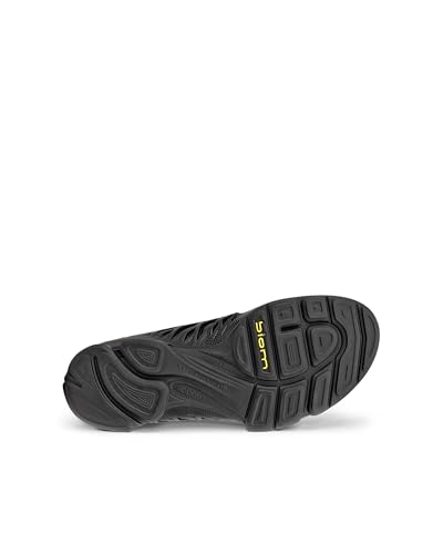 Image of ECCO Sport Biom AEX LX