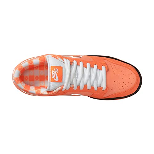 Concepts X Dunk Low SB "Orange Lobster" (2022)4