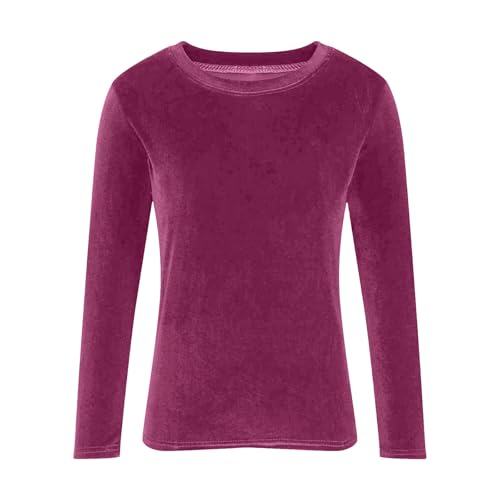 DASAYO Velvet Tops for Women Crewneck Long Sleeve Velour Shirt Ladies Dressy Casaul Blouses Fall Fashion3