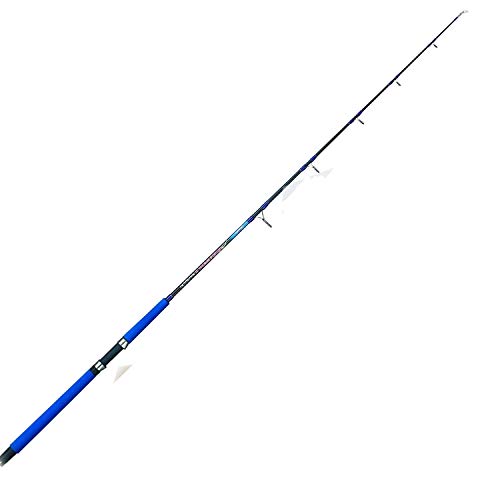 Carson Canna Vertical Jigging Azione 250g Pesca Mare Barca jig inchiku kabura anthias