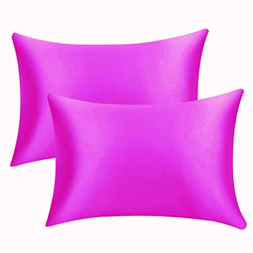 SURJION Set di 2 pendali Federe in Raso per Capelli e Pelle, Federe Cuscino con Cerniera Nascosta, Morbida Microfibra Federa Letto Copricuscini (Viola, 50x75cm 2 Pezzi)