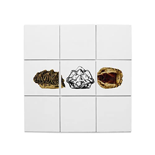 Carreaux céramique décoratif tortue minimaliste lot x9 de 15,2x15,2 cm pour crédence et fresque mural