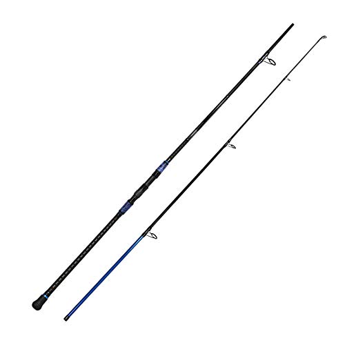 Fiblink Surf Spinning Fishing Rod Graphite Travel Fishing Rod (Blue, 8 Feet - 2Pcs) #TOP1